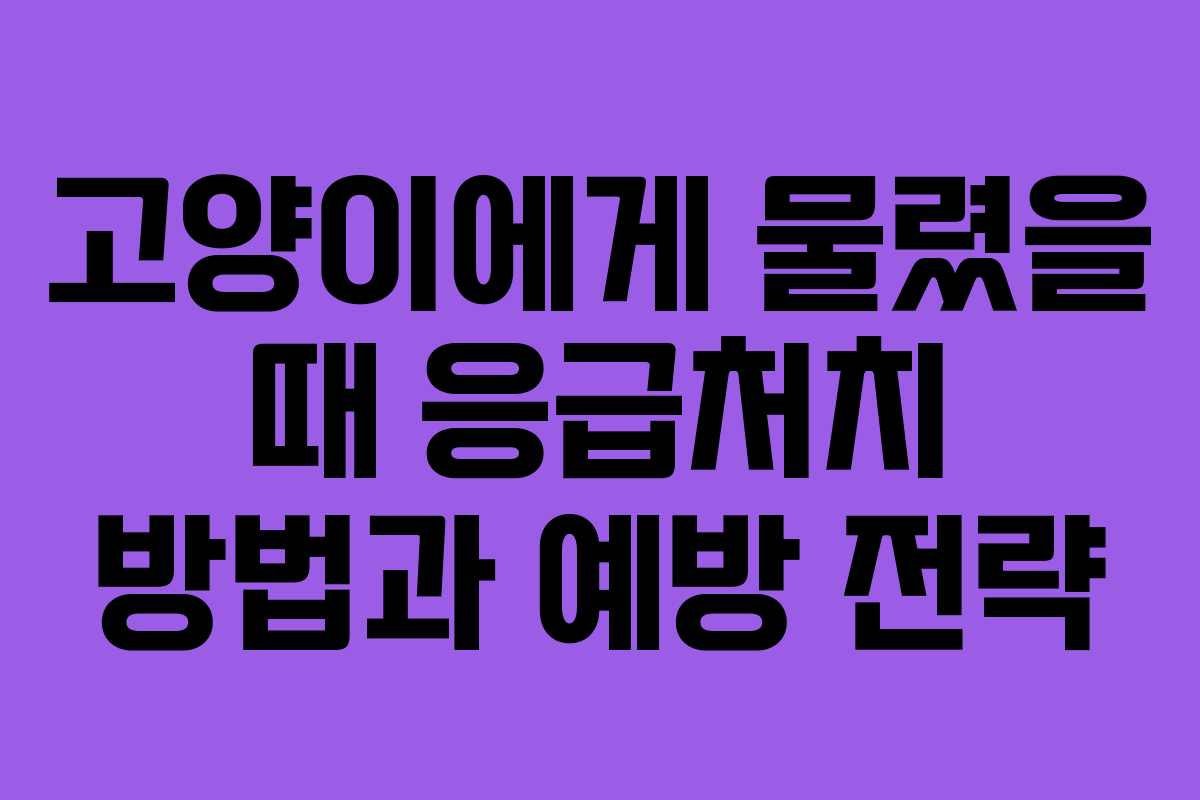 고양이에게 물렸을 때 응급처치 방법과 예방 전략