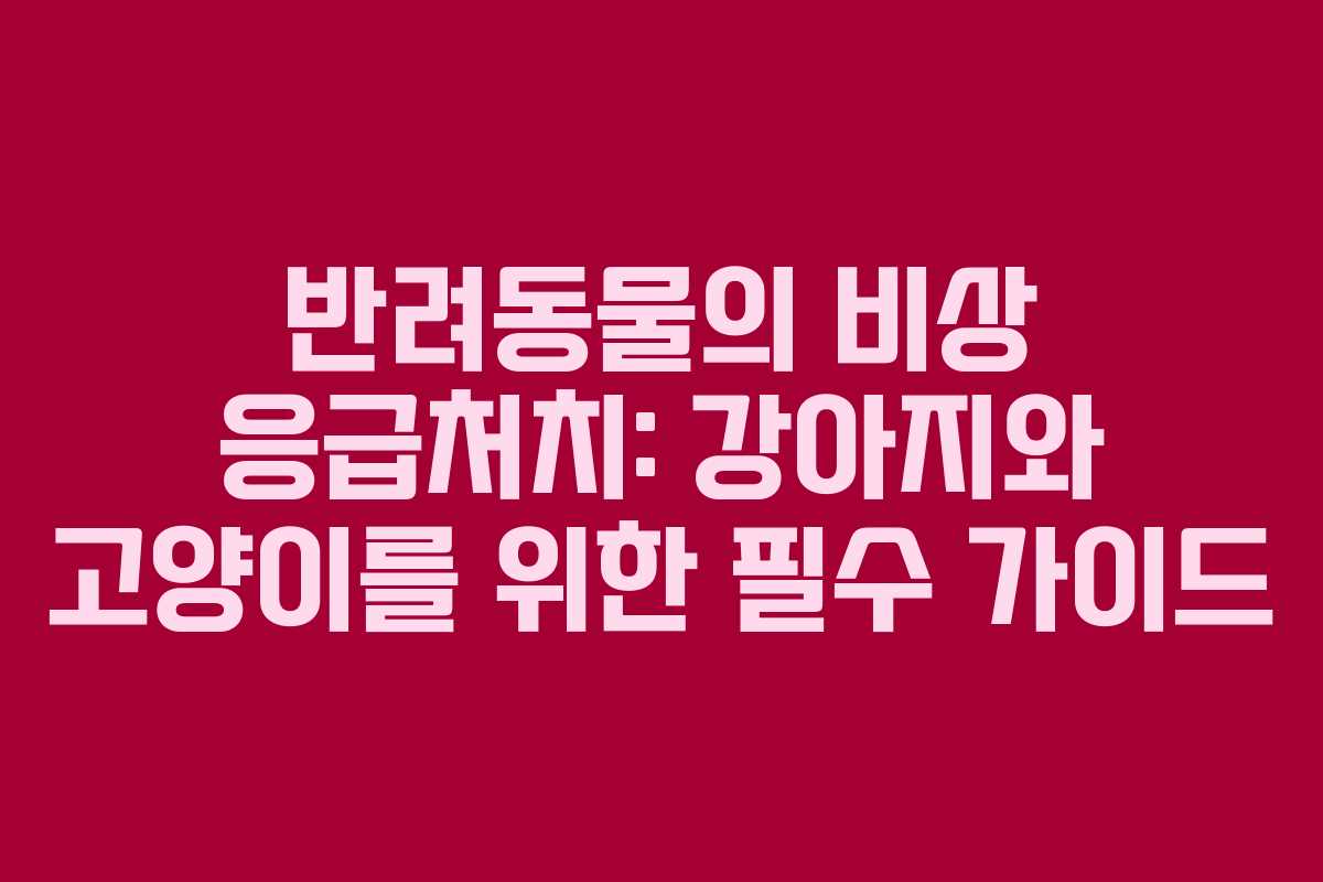 반려동물의 비상 응급처치: 강아지와 고양이를 위한 필수 가이드