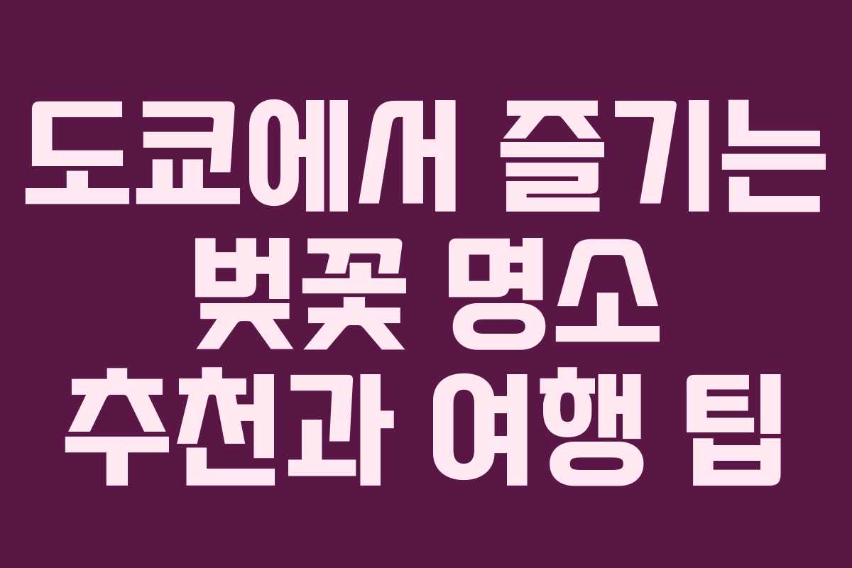 도쿄에서 즐기는 벚꽃 명소 추천과 여행 팁 도쿄에서 즐기는 벚꽃 명소 추천과 여행 팁