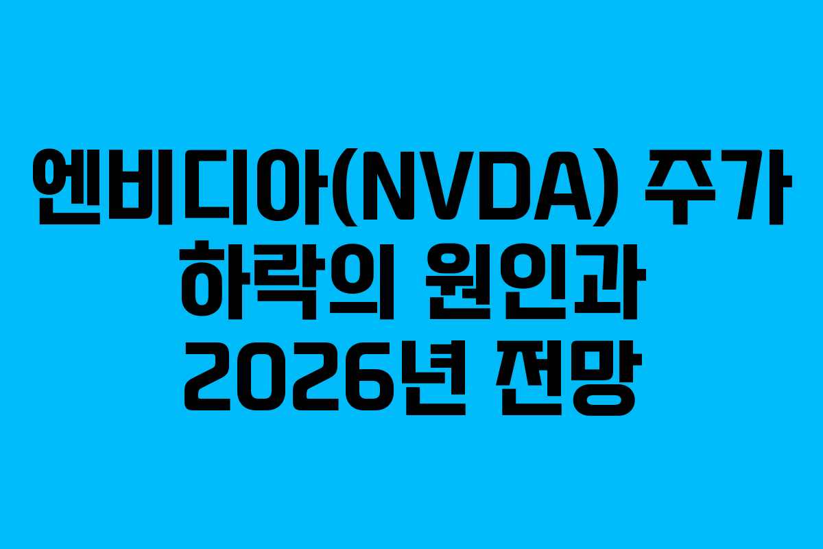 엔비디아(NVDA) 주가 하락의 원인과 2026년 전망