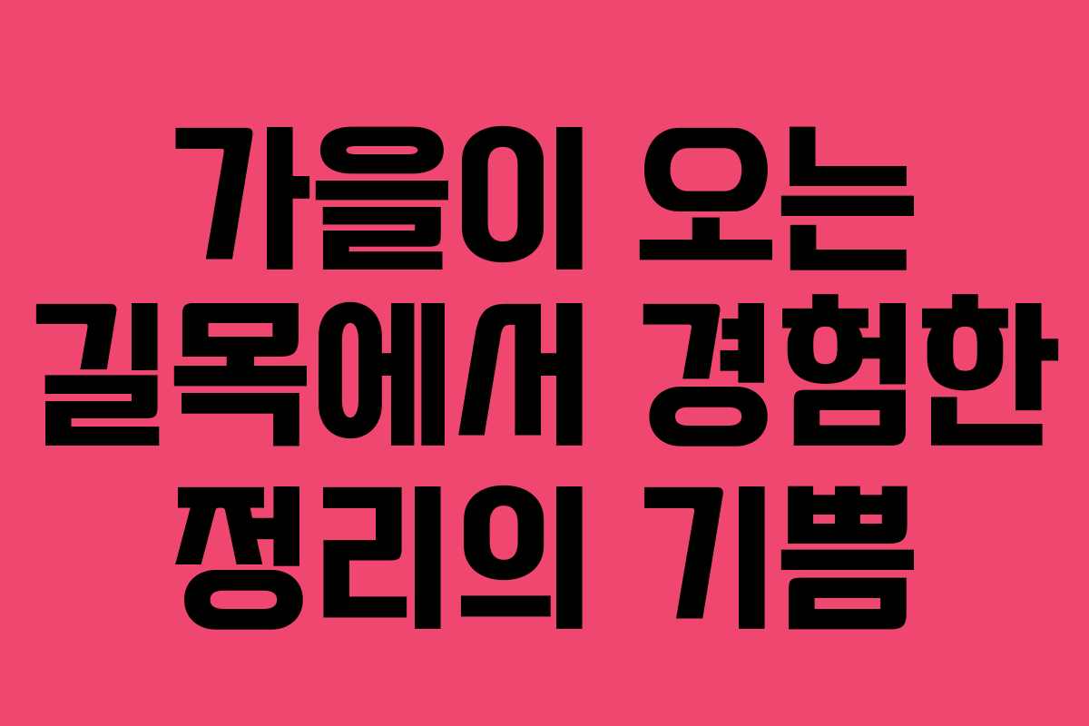 가을이 오는 길목에서 경험한 정리의 기쁨
