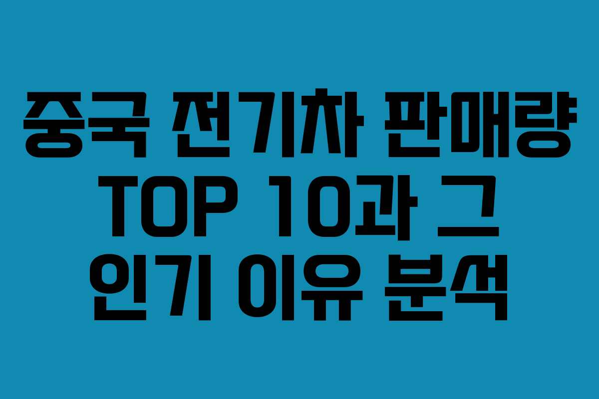 중국 전기차 판매량 TOP 10과 그 인기 이유 분석 중국 전기차 판매량 TOP 10과 그 인기 이유 분석