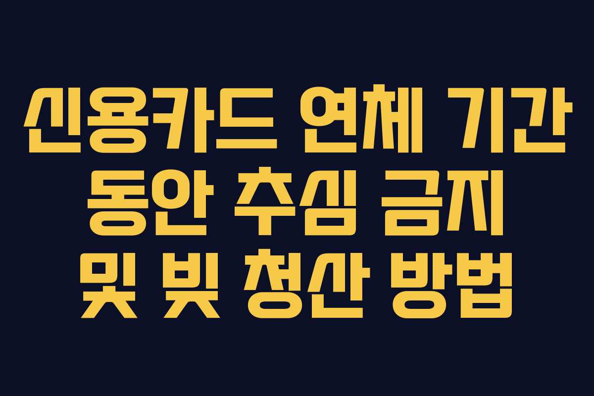 신용카드 연체 기간 동안 추심 금지 및 빚 청산 방법 신용카드 연체 기간 동안 추심 금지 및 빚 청산 방법