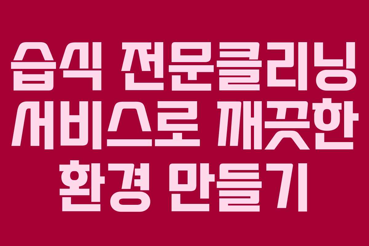 습식 전문클리닝 서비스로 깨끗한 환경 만들기