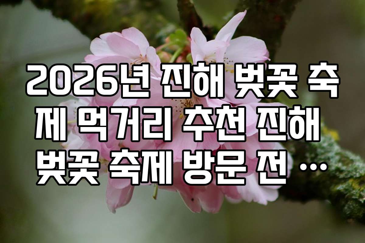 2026년 진해 벚꽃 축제 먹거리 추천 진해 벚꽃 축제 방문 전 먹거리 지도