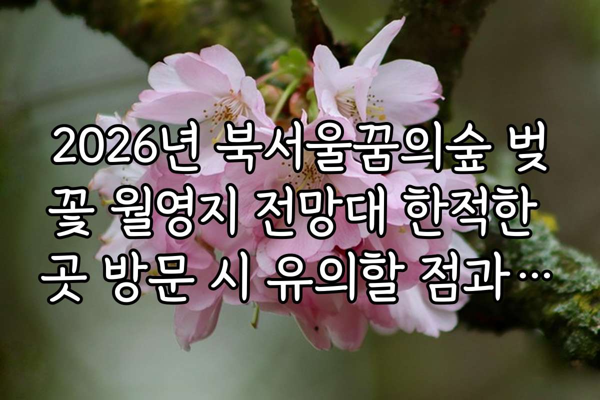2026년 북서울꿈의숲 벚꽃 월영지 전망대 한적한 곳 방문 시 유의할 점과 주의사항