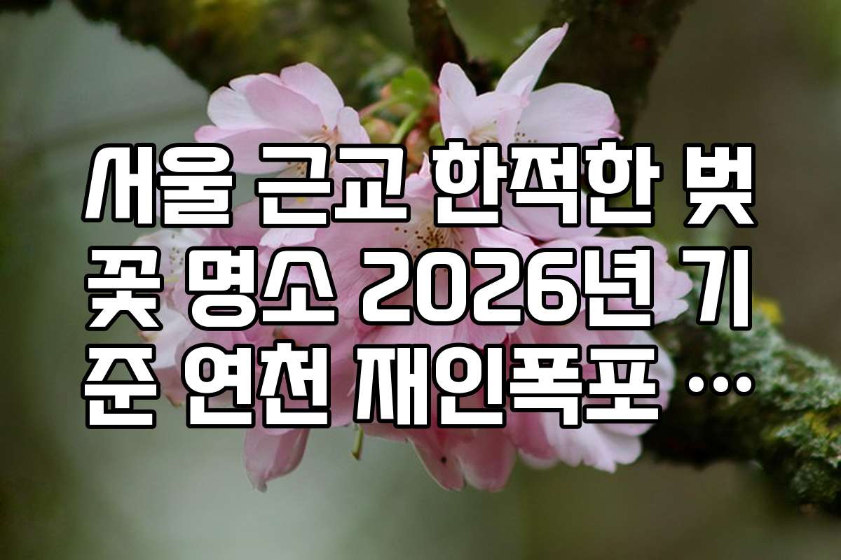 서울 근교 한적한 벚꽃 명소 2026년 기준 연천 재인폭포 벚꽃길