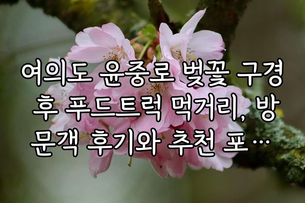 여의도 윤중로 벚꽃 구경 후 푸드트럭 먹거리, 방문객 후기와 추천 포인트