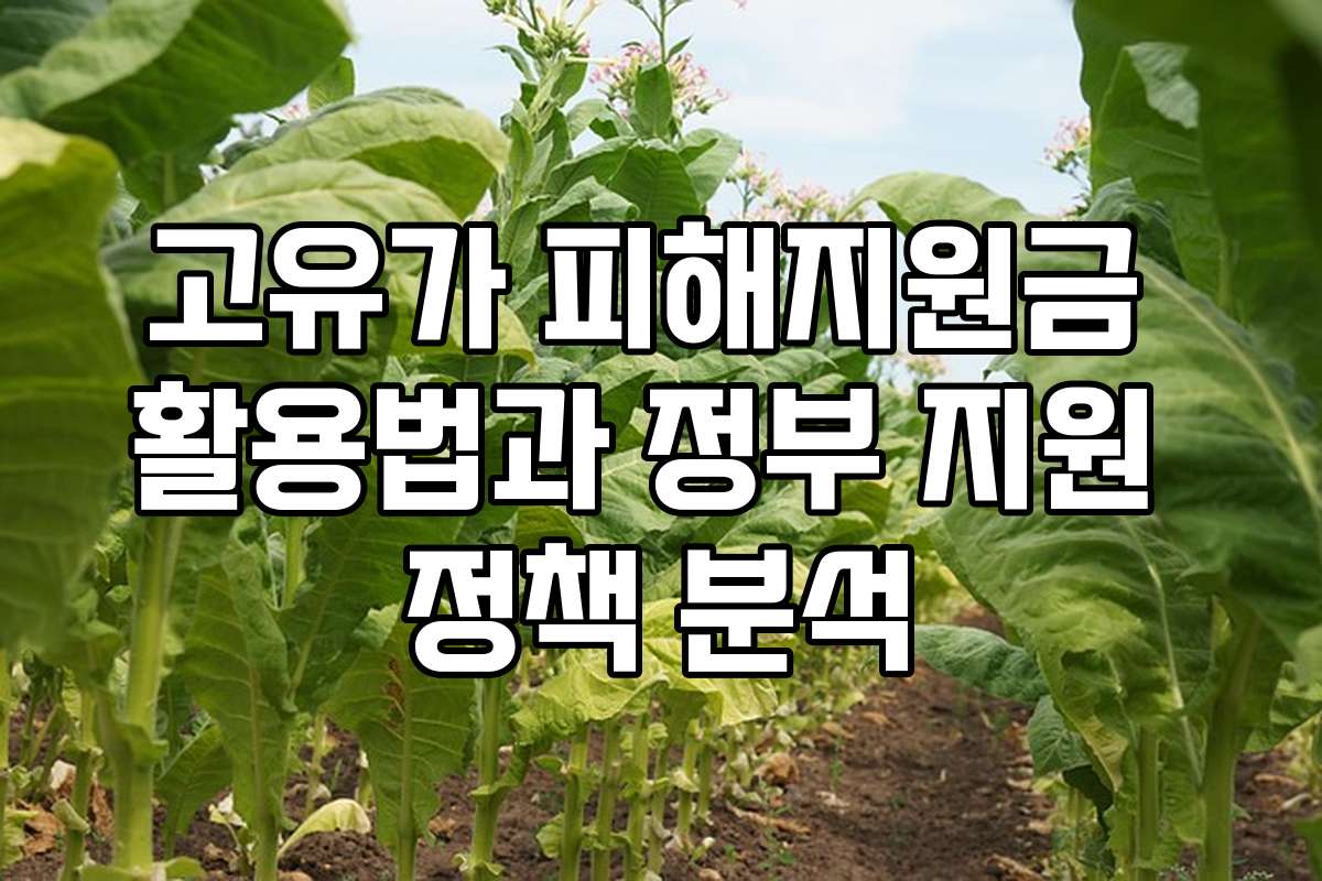 고유가 피해지원금 활용법과 정부 지원 정책 분석