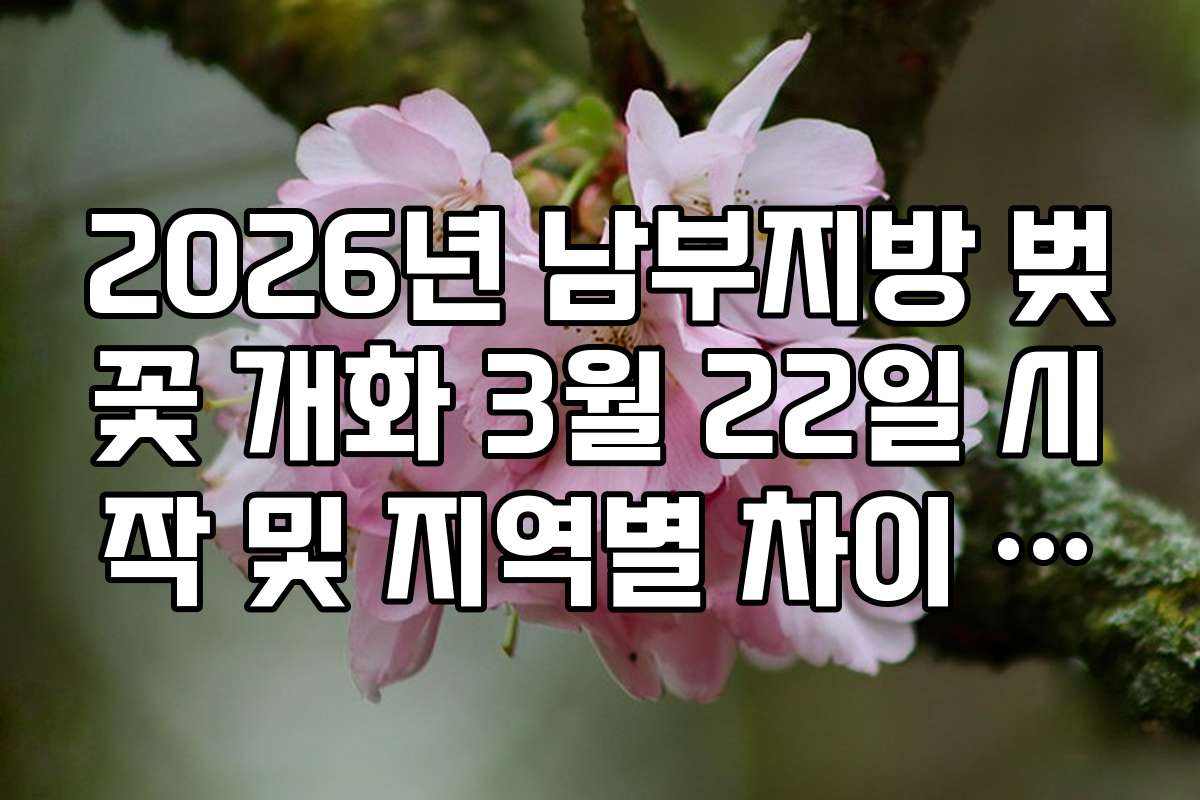 2026년 남부지방 벚꽃 개화 3월 22일 시작 및 지역별 차이 분석