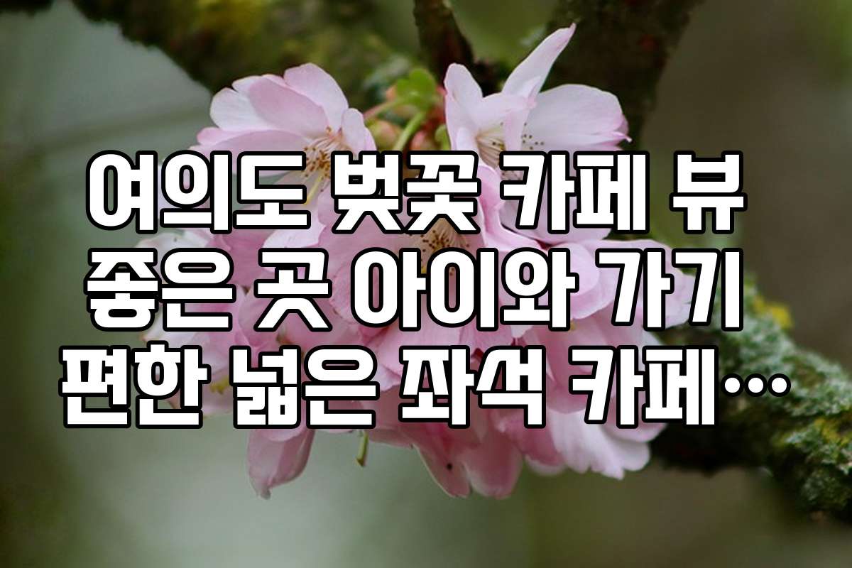여의도 벚꽃 카페 뷰 좋은 곳 아이와 가기 편한 넓은 좌석 카페 리스트