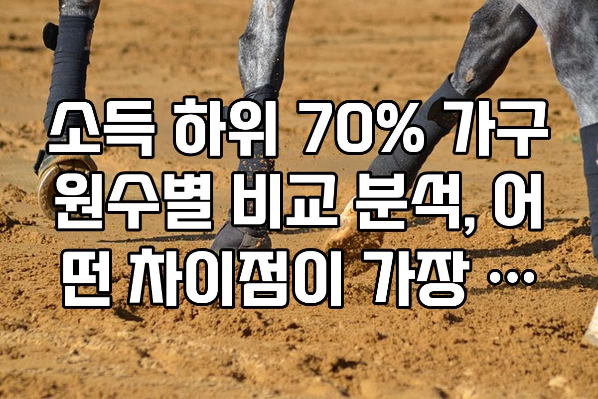 소득 하위 70% 가구원수별 비교 분석, 어떤 차이점이 가장 크나요