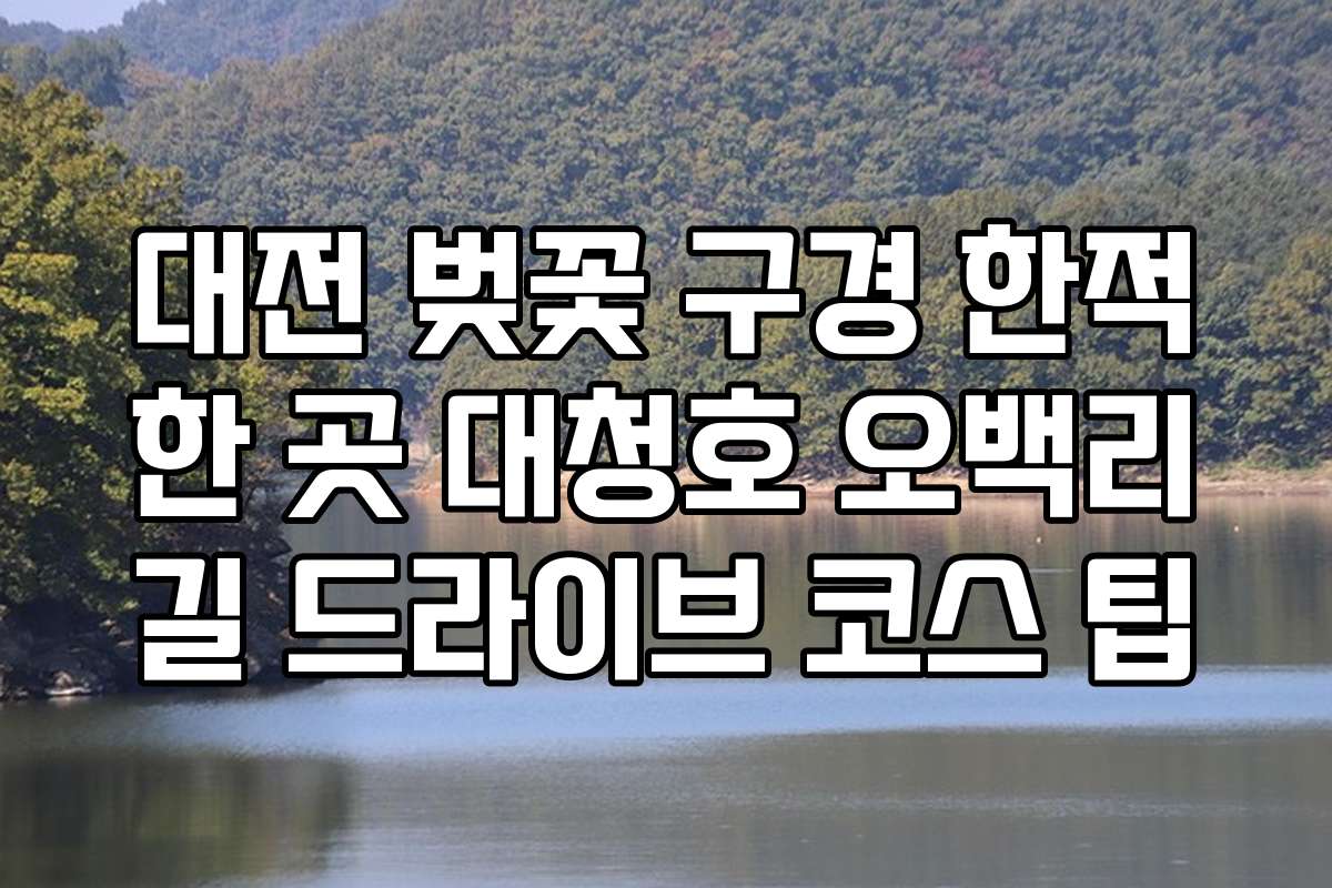 대전 벚꽃 구경 한적한 곳 대청호 오백리길 드라이브 코스 팁