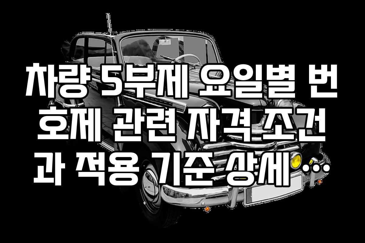 차량 5부제 요일별 번호제 관련 자격 조건과 적용 기준 상세 분석 차량 5부제 요일별 번호제 관련 자격 조건과 적용 기준 상세 분석