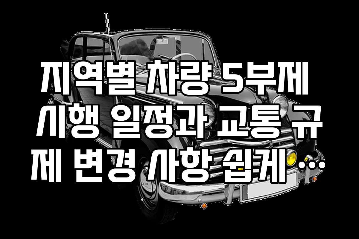 지역별 차량 5부제 시행 일정과 교통 규제 변경 사항 쉽게 정리
