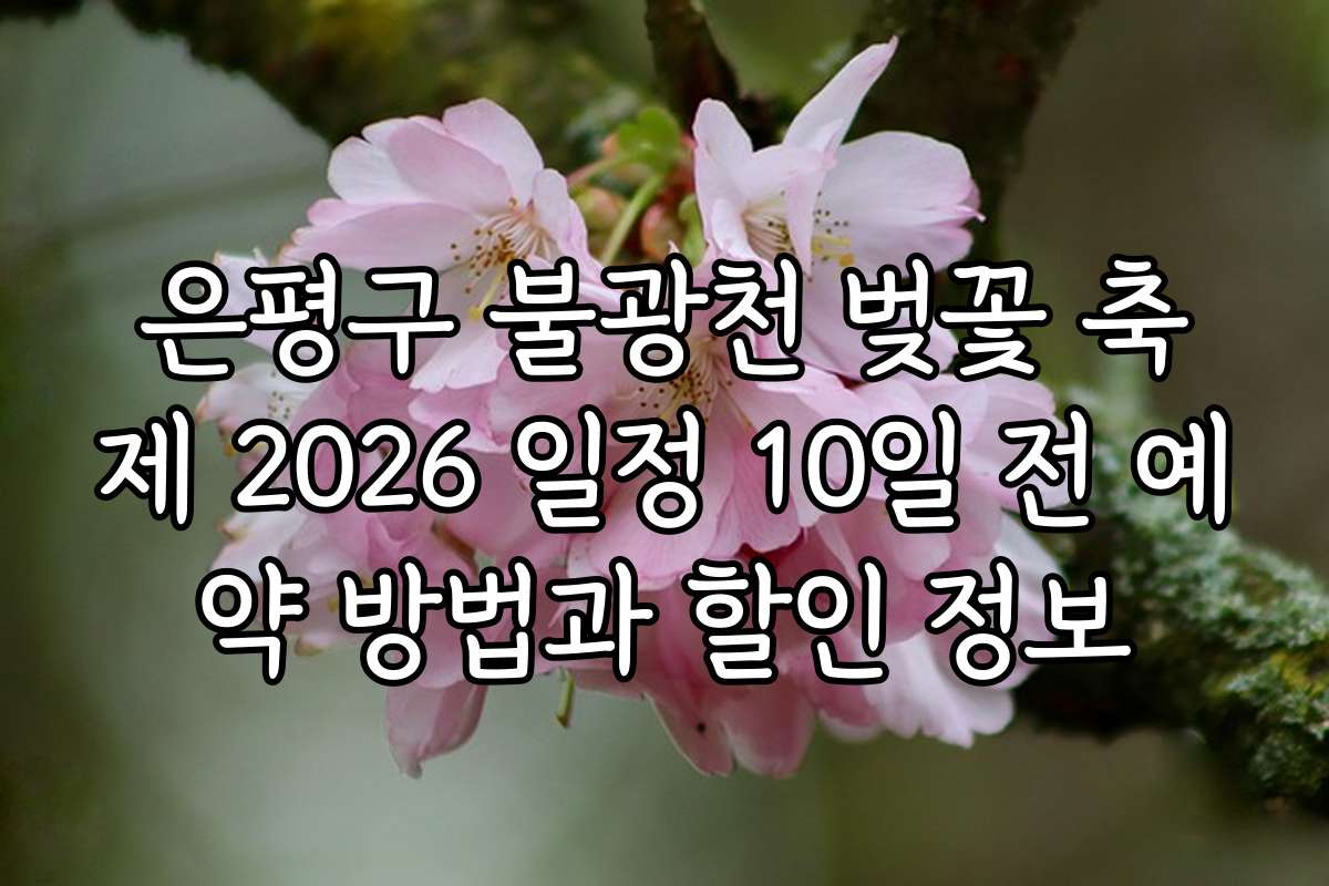은평구 불광천 벚꽃 축제 2026 일정 10일 전 예약 방법과 할인 정보