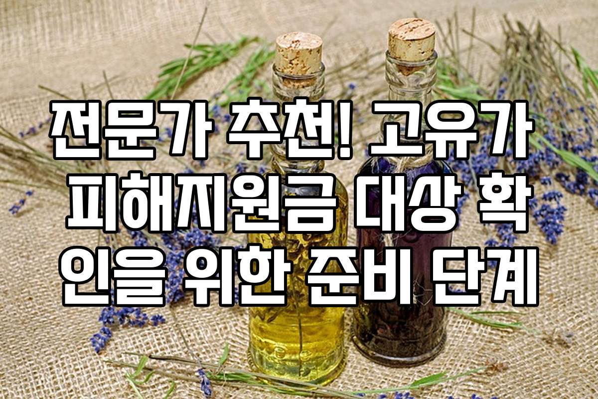 전문가 추천! 고유가 피해지원금 대상 확인을 위한 준비 단계 전문가 추천! 고유가 피해지원금 대상 확인을 위한 준비 단계
