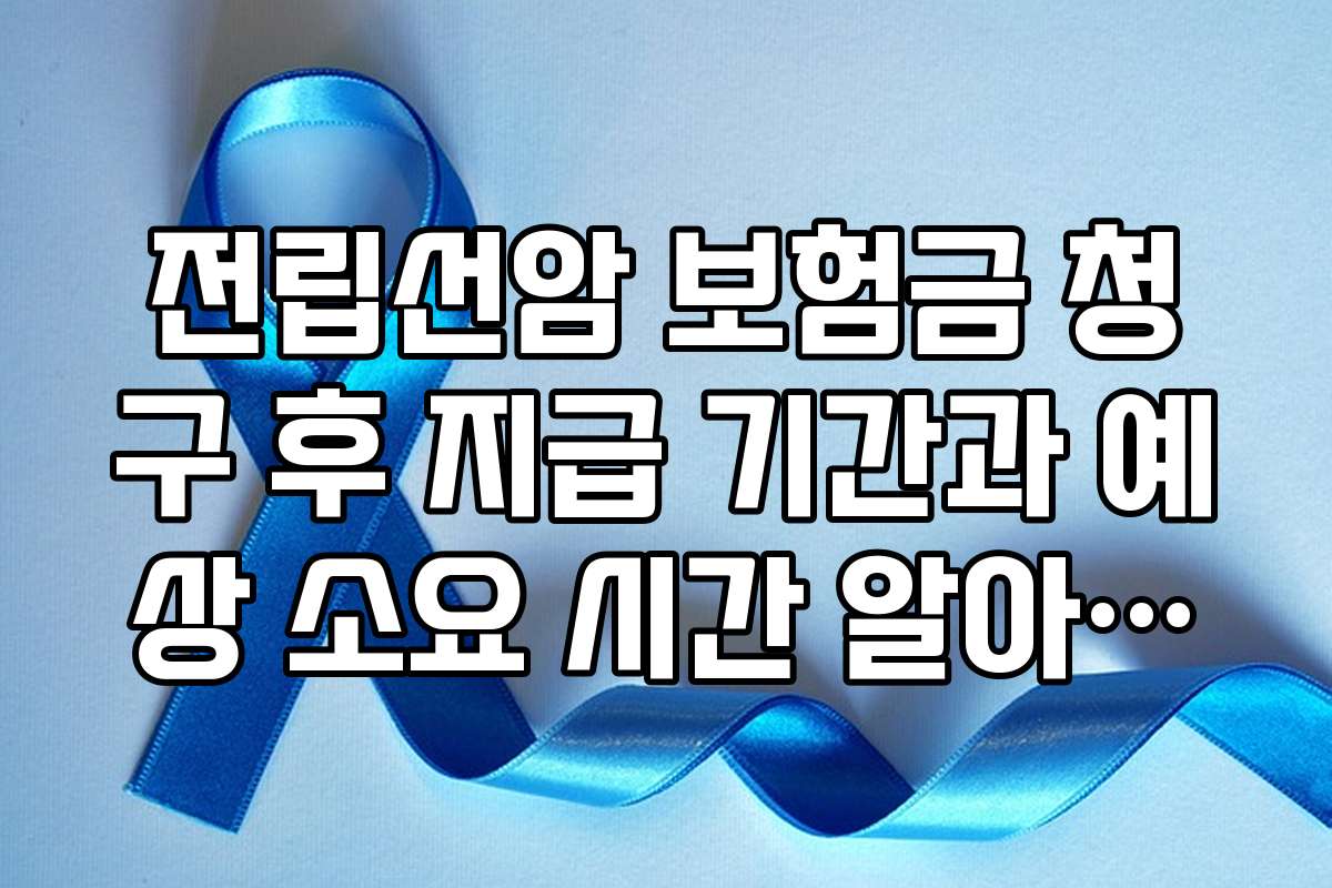 전립선암 보험금 청구 후 지급 기간과 예상 소요 시간 알아보기 전립선암 보험금 청구 후 지급 기간과 예상 소요 시간 알아보기