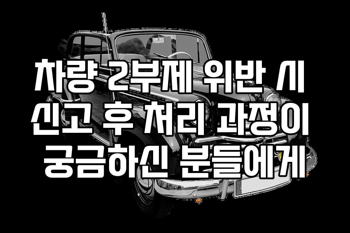 차량 2부제 위반 시 신고 후 처리 과정이 궁금하신 분들에게