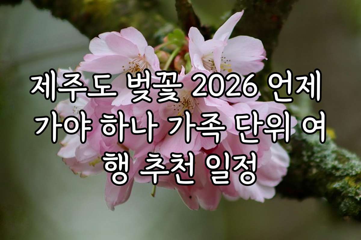 제주도 벚꽃 2026 언제 가야 하나 가족 단위 여행 추천 일정
