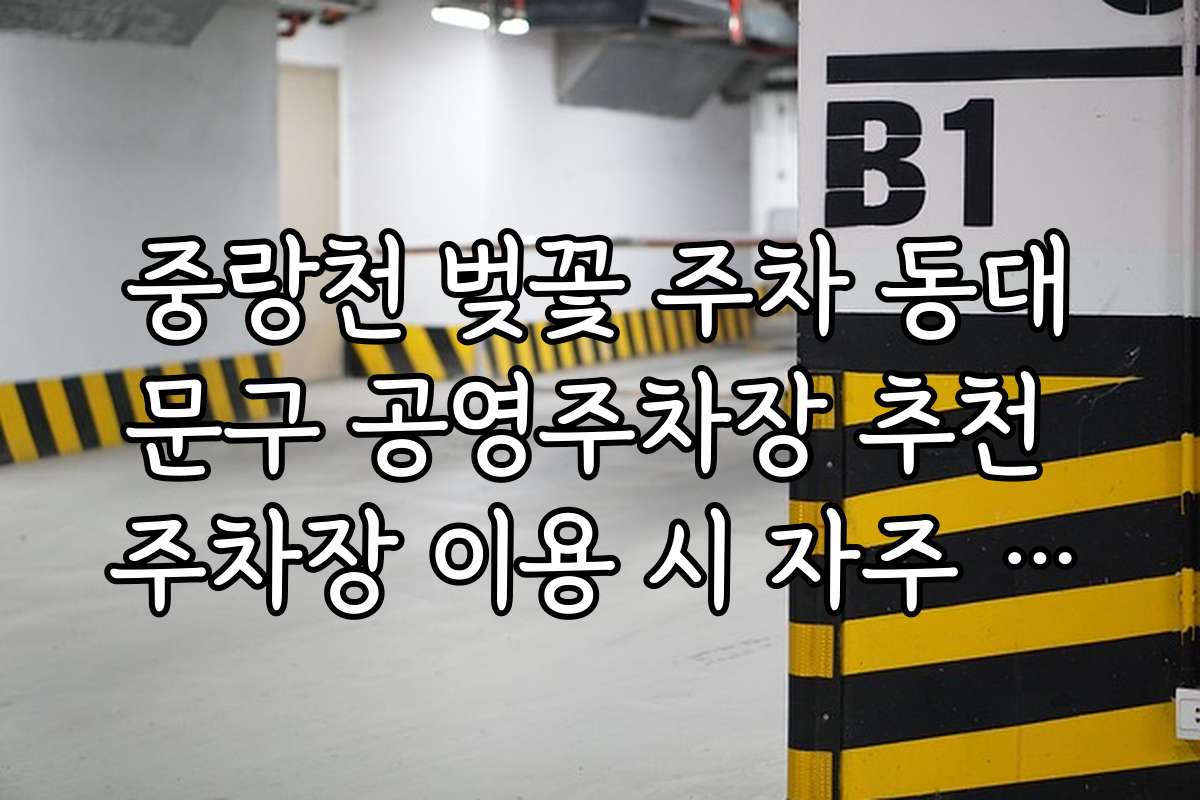 중랑천 벚꽃 주차 동대문구 공영주차장 추천 주차장 이용 시 자주 발생하는 문제와 해결책