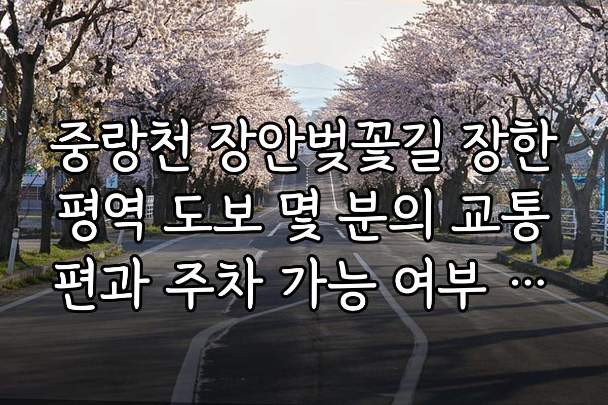 중랑천 장안벚꽃길 장한평역 도보 몇 분의 교통편과 주차 가능 여부 확인하기 중랑천 장안벚꽃길 장한평역 도보 몇 분의 교통편과 주차 가능 여부 확인하기