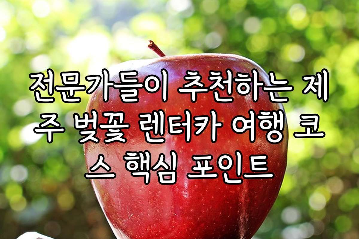 전문가들이 추천하는 제주 벚꽃 렌터카 여행 코스 핵심 포인트