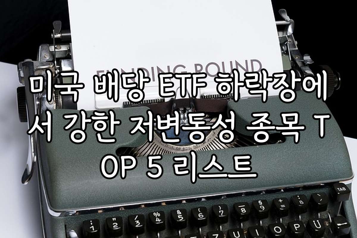 미국 배당 ETF 하락장에서 강한 저변동성 종목 TOP 5 리스트