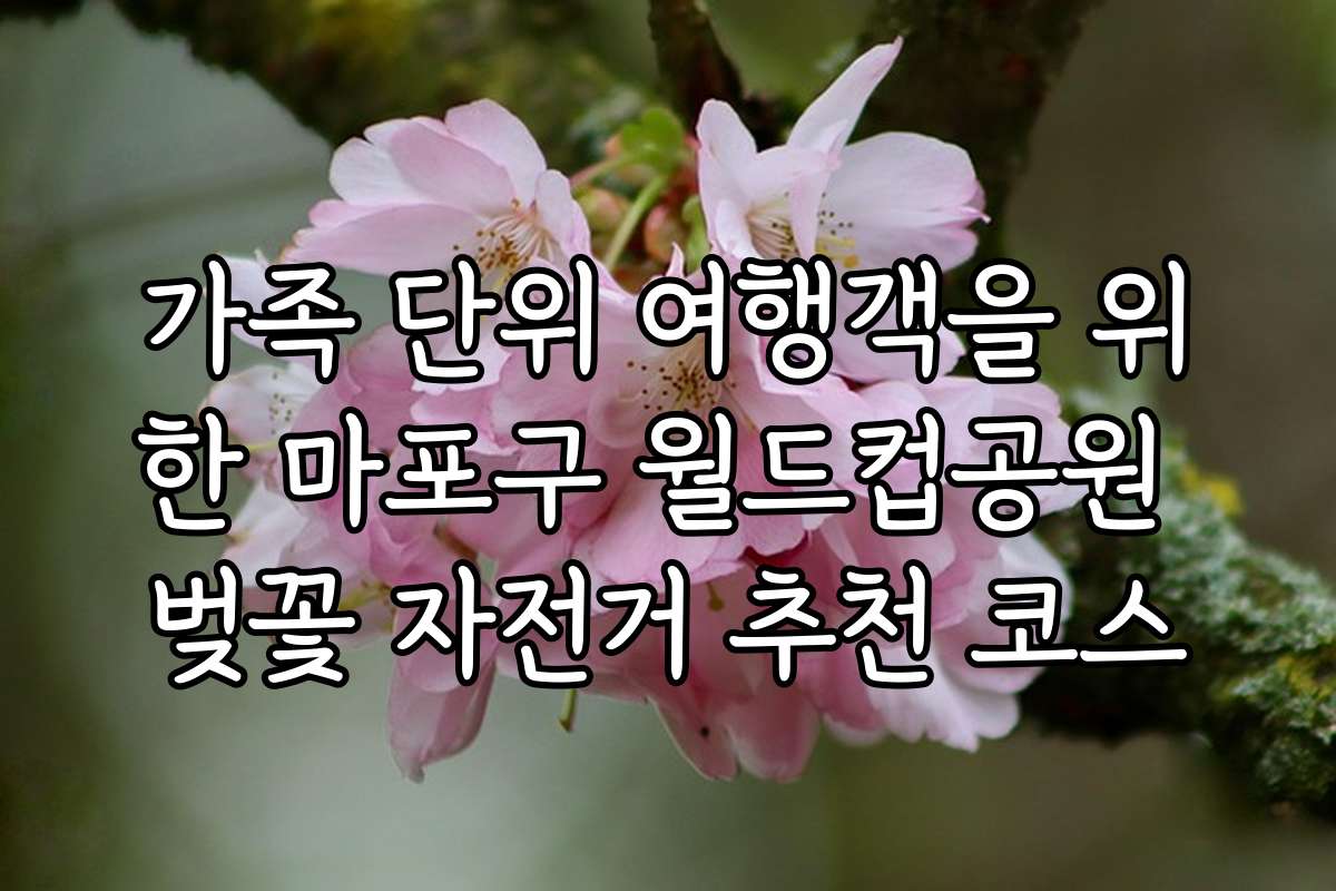 가족 단위 여행객을 위한 마포구 월드컵공원 벚꽃 자전거 추천 코스