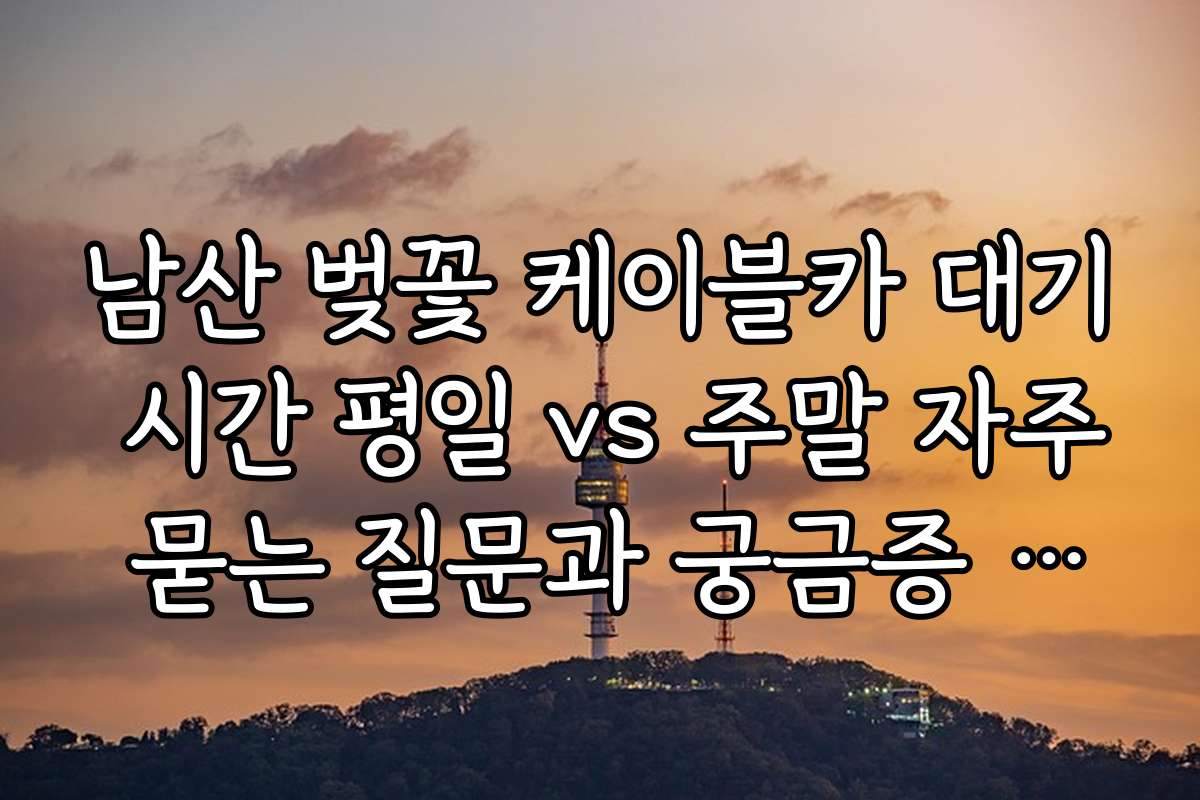 남산 벚꽃 케이블카 대기 시간 평일 vs 주말 자주 묻는 질문과 궁금증 해결하는 FAQ 모음