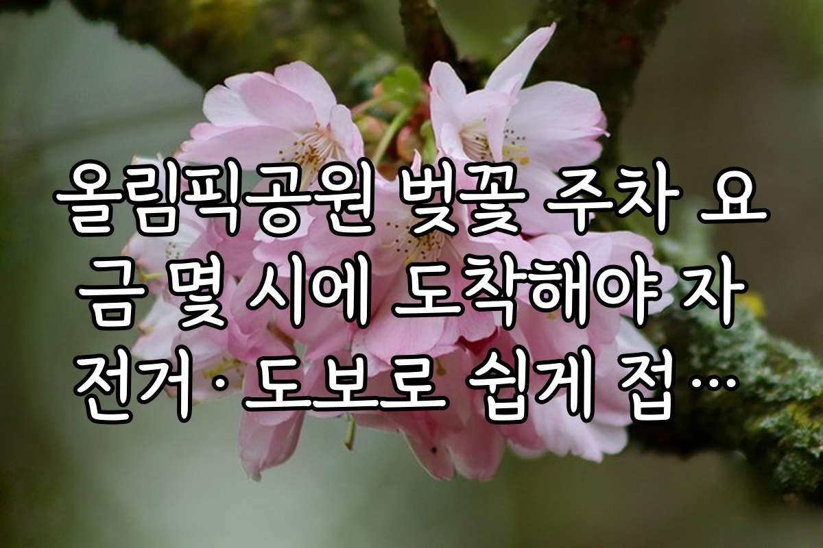올림픽공원 벚꽃 주차 요금 몇 시에 도착해야 자전거&middot;도보로 쉽게 접근하는 방법