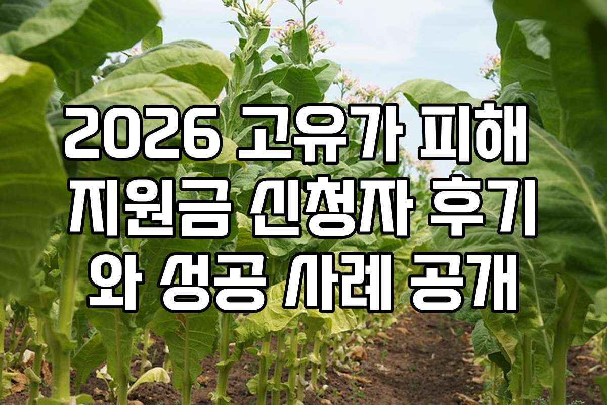 2026 고유가 피해 지원금 신청자 후기와 성공 사례 공개