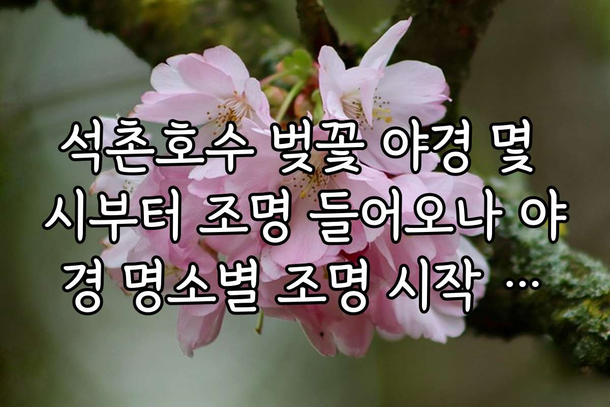 석촌호수 벚꽃 야경 몇 시부터 조명 들어오나 야경 명소별 조명 시작 시간 상세 가이드