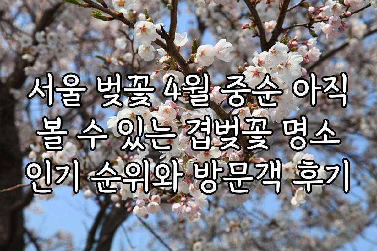 서울 벚꽃 4월 중순 아직 볼 수 있는 겹벚꽃 명소 인기 순위와 방문객 후기