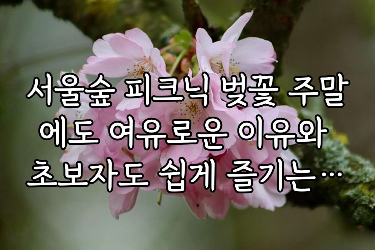 서울숲 피크닉 벚꽃 주말에도 여유로운 이유와 초보자도 쉽게 즐기는 방법