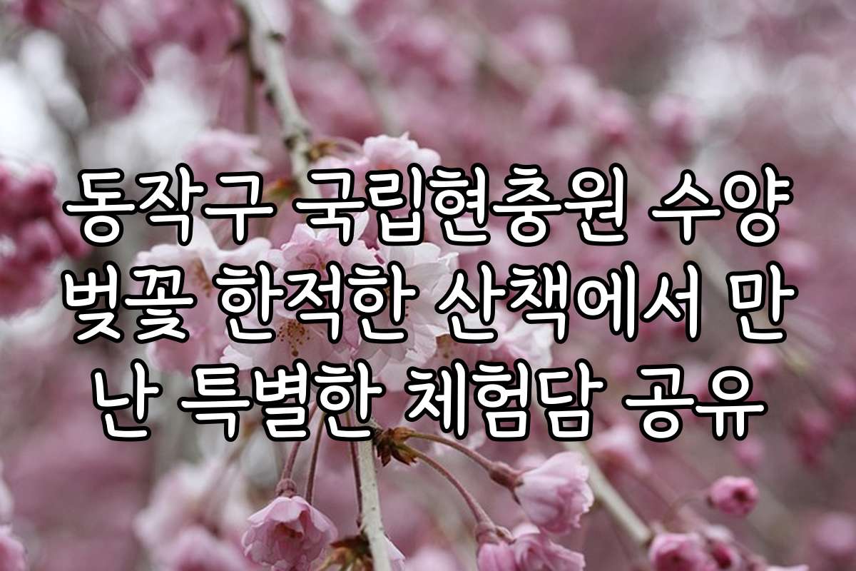 동작구 국립현충원 수양벚꽃 한적한 산책에서 만난 특별한 체험담 공유