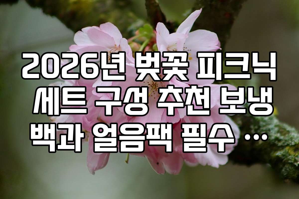 2026년 벚꽃 피크닉 세트 구성 추천 보냉백과 얼음팩 필수 포함