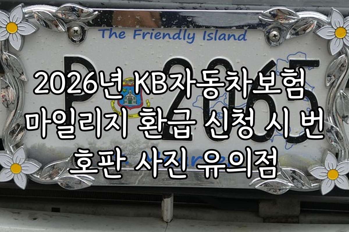 2026년 KB자동차보험 마일리지 환급 신청 시 번호판 사진 유의점