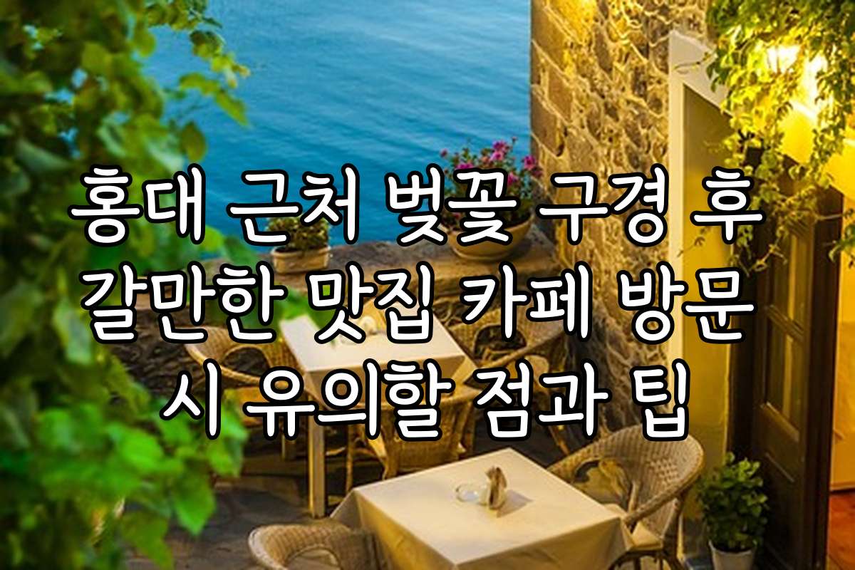 홍대 근처 벚꽃 구경 후 갈만한 맛집 카페 방문 시 유의할 점과 팁