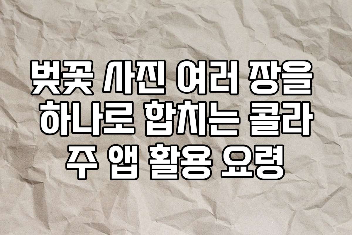 벚꽃 사진 여러 장을 하나로 합치는 콜라주 앱 활용 요령
