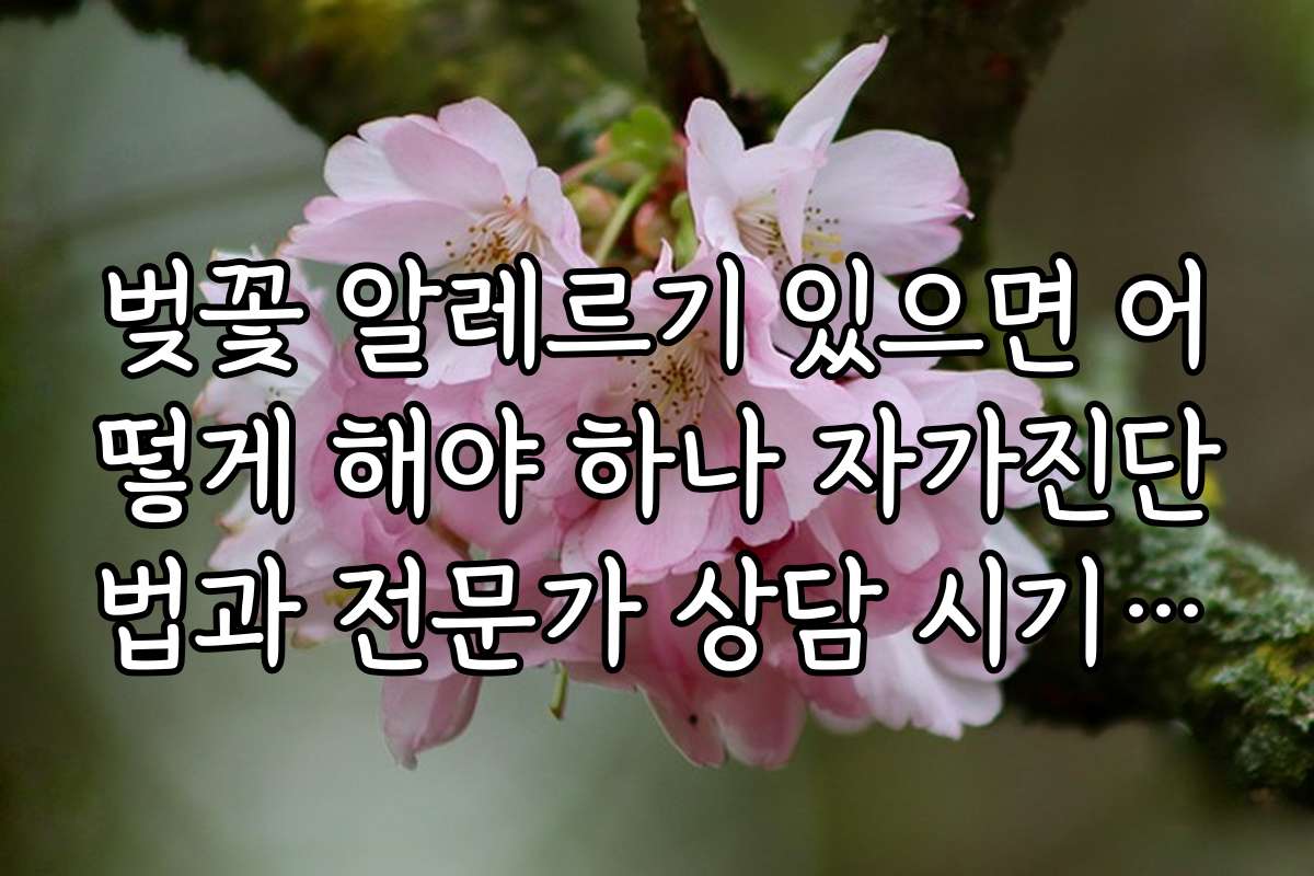 벚꽃 알레르기 있으면 어떻게 해야 하나 자가진단법과 전문가 상담 시기 추천