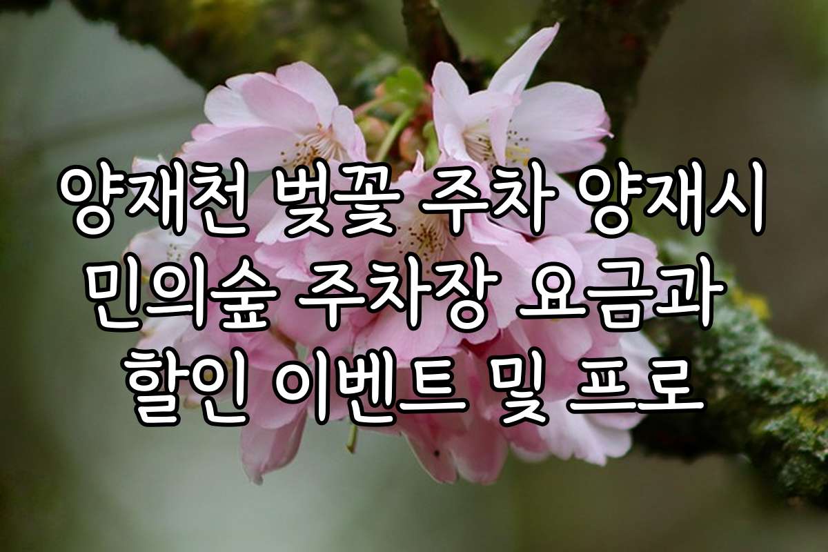 양재천 벚꽃 주차 양재시민의숲 주차장 요금과 할인 이벤트 및 프로