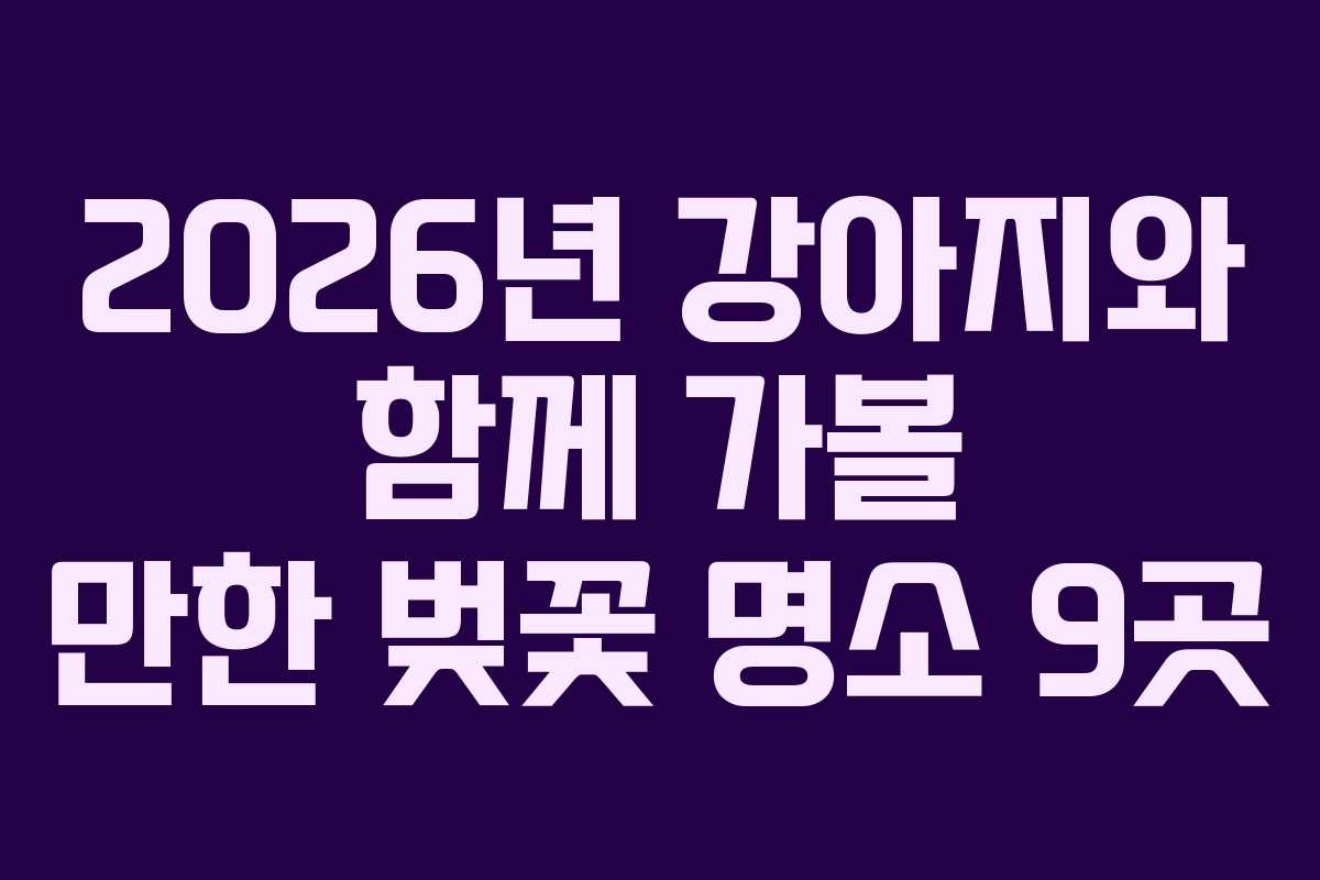 2026년 강아지와 함께 가볼 만한 벚꽃 명소 9곳