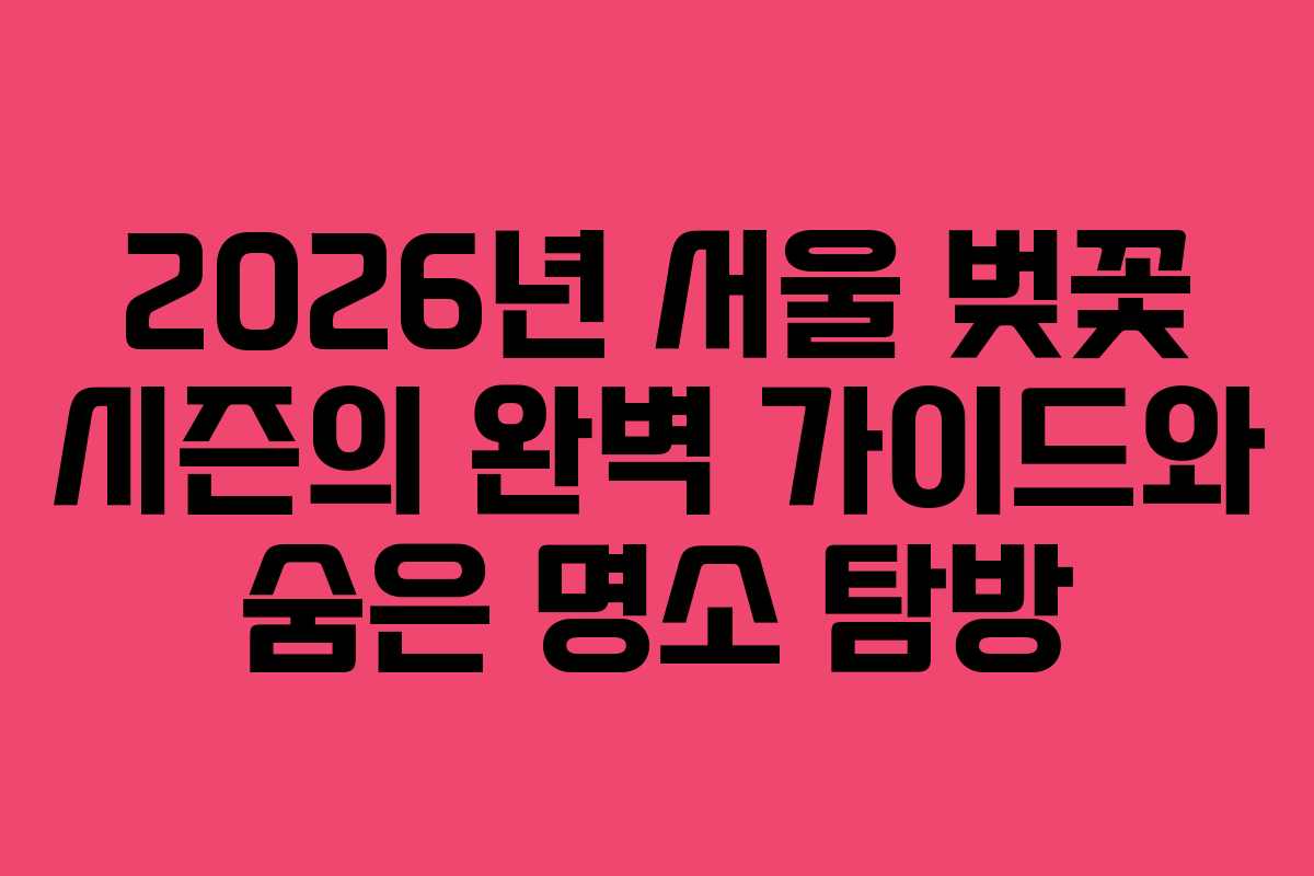 2026년 서울 벚꽃 시즌의 완벽 가이드와 숨은 명소 탐방