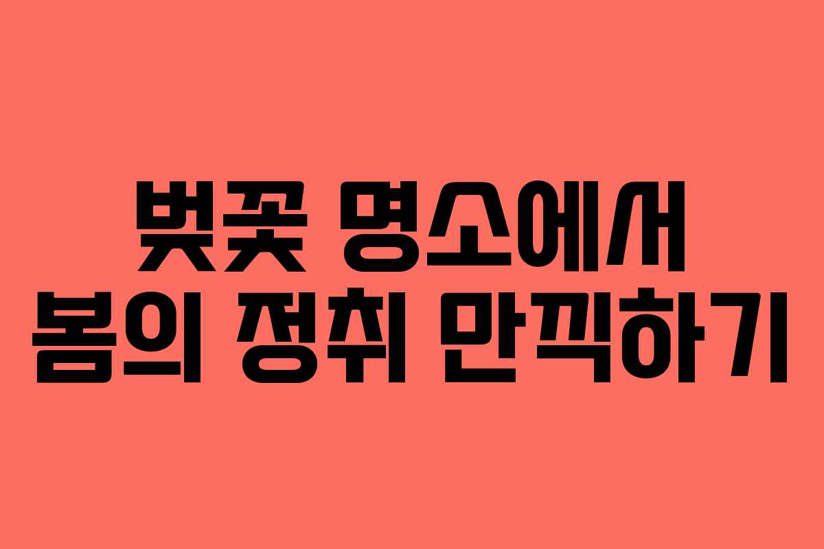 벚꽃 명소에서 봄의 정취 만끽하기