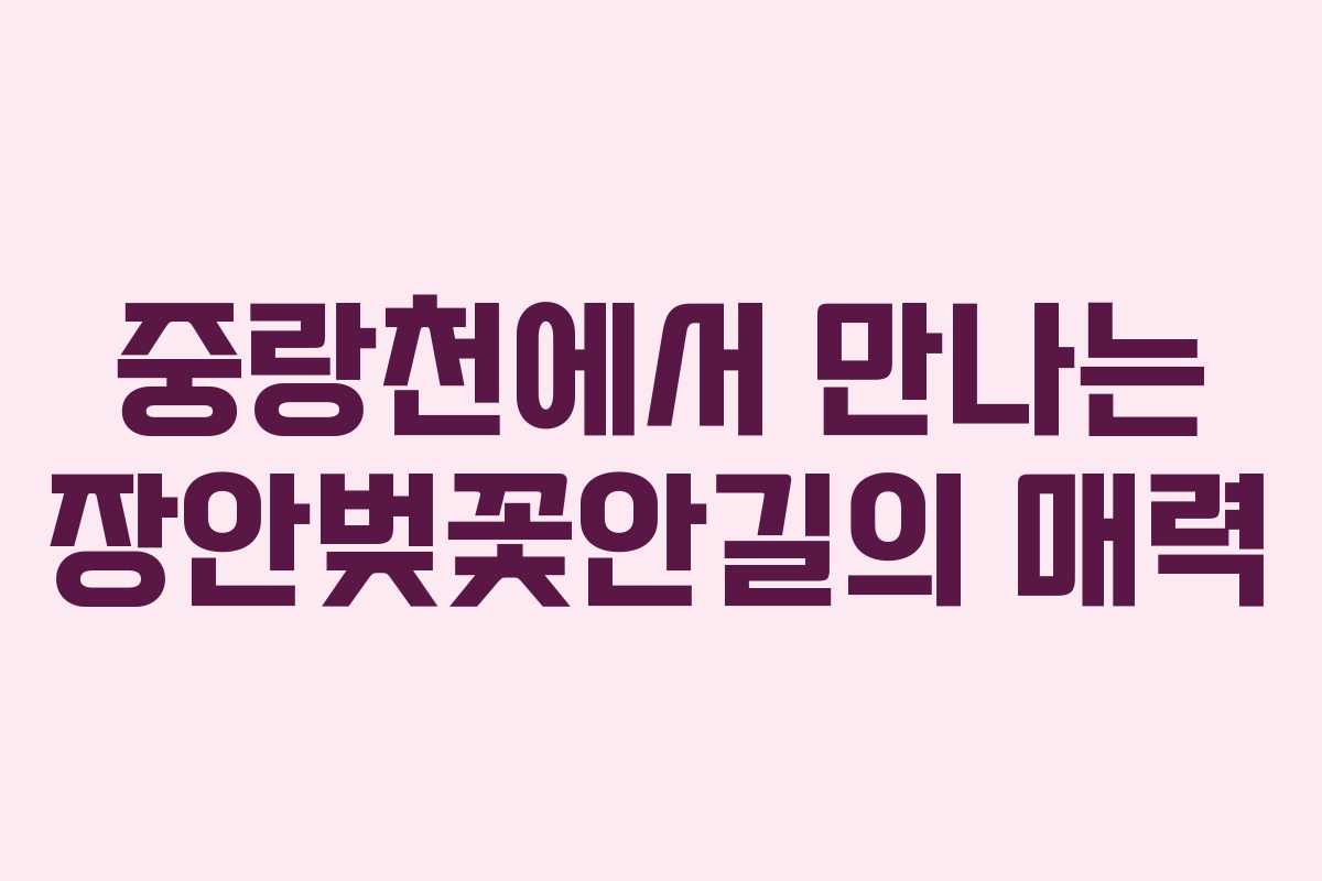 중랑천에서 만나는 장안벚꽃안길의 매력