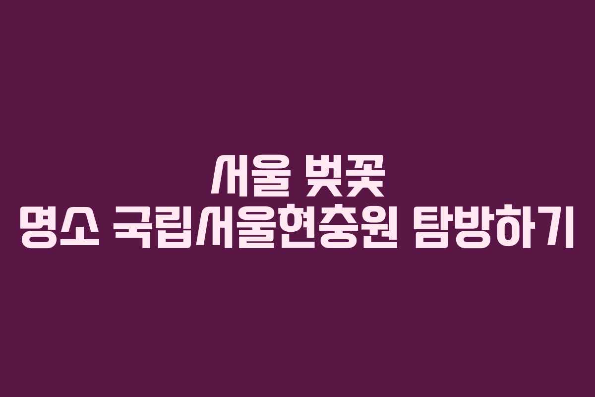 서울 벚꽃 명소 국립서울현충원 탐방하기