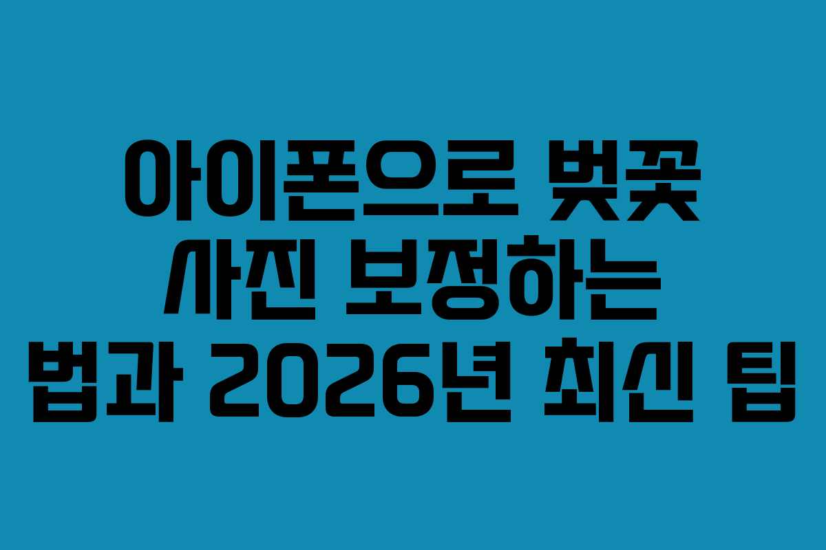 아이폰으로 벚꽃 사진 보정하는 법과 2026년 최신 팁
