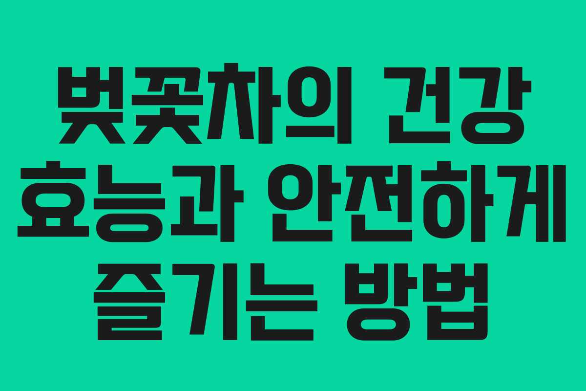벚꽃차의 건강 효능과 안전하게 즐기는 방법