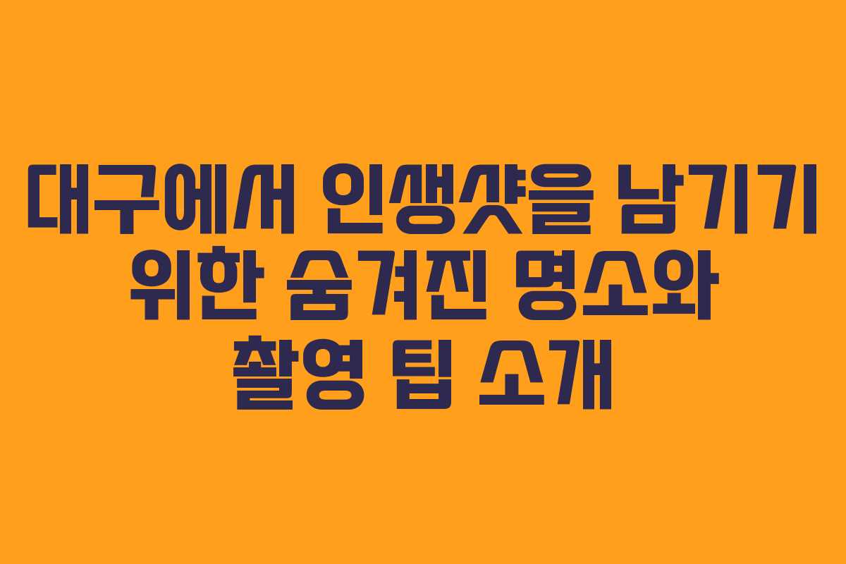 대구에서 인생샷을 남기기 위한 숨겨진 명소와 촬영 팁 소개
